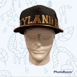 Disneyland resort snap back